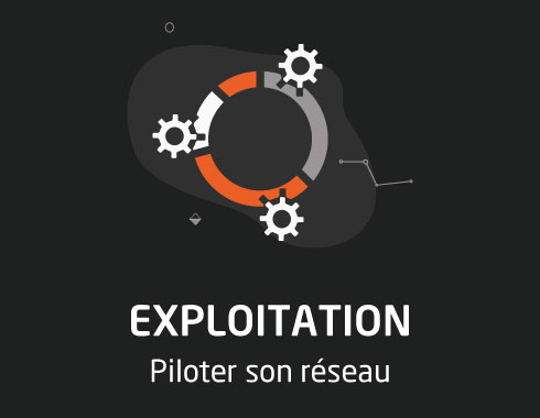 section exploitation