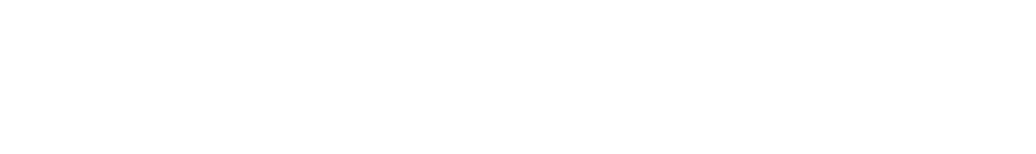 logo wavestone