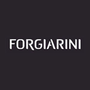 Logo Forgiarini